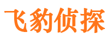 成县市婚外情调查